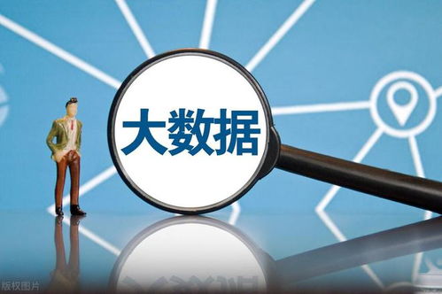 網絡安全軟件國產化 大數據時代下，八朵“金花”如何引領風潮